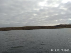 IMG_20201029_123203.jpg