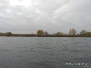 IMG_20201029_123155.jpg