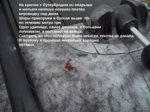 DSC00014.JPG