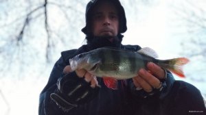 IMG_20201102_163324.jpg