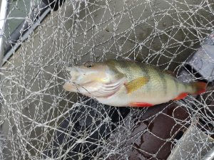 IMG_20201101_100409.jpg