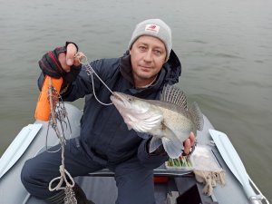 IMG_20201031_071906.jpg