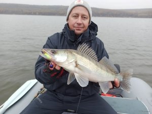 IMG_20201031_150638.jpg
