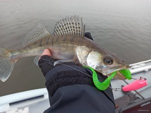 IMG_20201031_133014.jpg