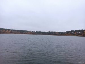 IMG_20201031_151720.jpg