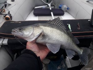 20201105_153948.jpg
