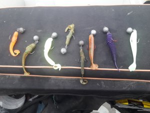 20201105_141309.jpg