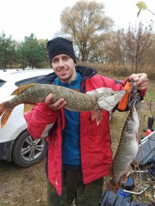 IMG_20201104_114029.jpg