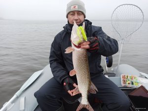 IMG_20201104_092959.jpg
