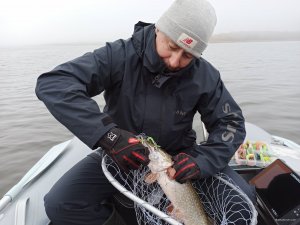 IMG_20201104_092733.jpg