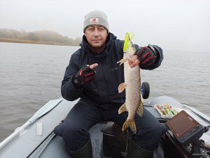 IMG_20201104_074244.jpg