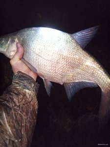 IMG_20201106_231309.jpg