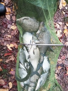 IMG_20201107_110056.jpg