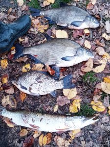 IMG_20201107_110937.jpg