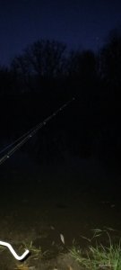 20201107_164546.jpg