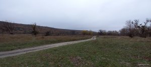 20201108_102341.jpg