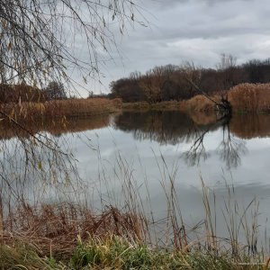 IMG_20201109_212610_189.jpg