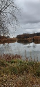 20201109_145556.jpg