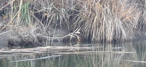 20201109_123220.jpg