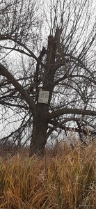 20201109_120024.jpg