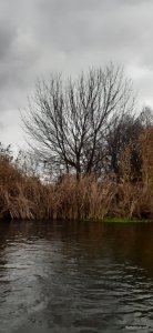 20201109_104128.jpg