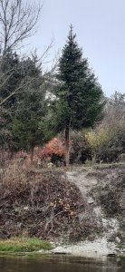 20201108_105119.jpg