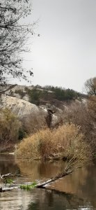 20201108_104615.jpg