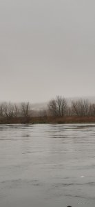 20201108_092307.jpg
