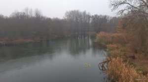 20201108_073039.jpg