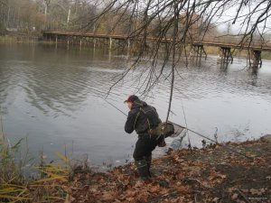 IMG_4195.JPG