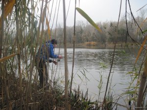 IMG_4198.JPG