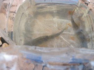 IMG_4310.JPG