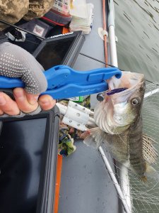 20201104_113322.jpg