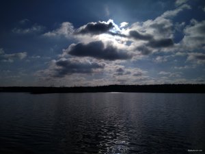 IMG_20201111_112102.jpg