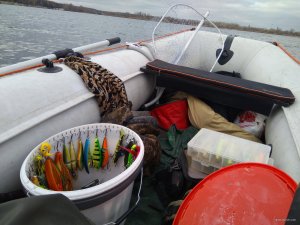 IMG_20201111_130958.jpg