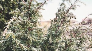 D21A1AC6-C794-4764-BD70-F536A60AB8D2.jpeg