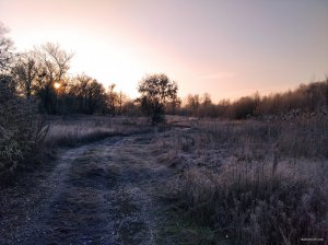 IMG_20201113_072845.jpg