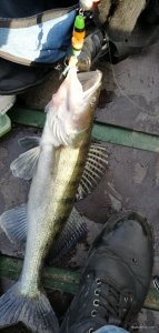 IMG_20201112_132956.jpg