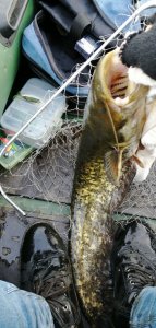 IMG_20201112_143108.jpg