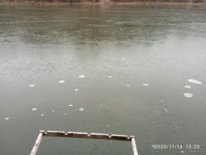 IMG_20201114_132007.jpg