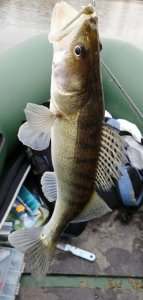 IMG_20201114_132407.jpg