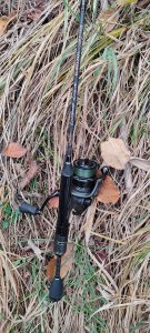 IMG_20201115_122707[1].jpg