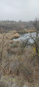IMG_20201115_115516[1].jpg