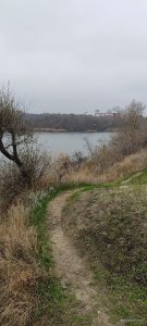 IMG_20201115_115519[1].jpg