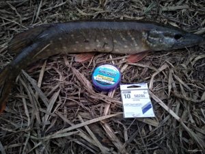 IMG_20201114_160254.jpg
