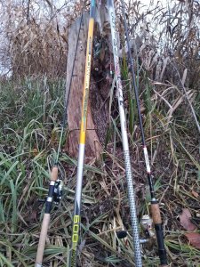 IMG_20201115_071226.jpg