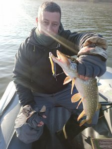 IMG_20201113_091119.jpg