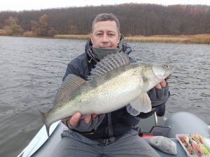 IMG_20201115_090550.jpg