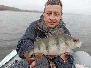 IMG_20201115_081729.jpg