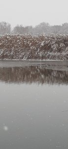 20201122_084618.jpg
